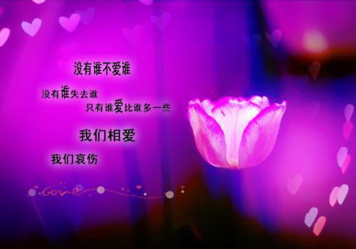 富二代男友骂我是捞女,分手后他成了捞男林知许裴书臣推荐完本_已完结富二代男友骂我是捞女,分手后他成了捞男（林知许裴书臣）