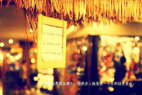 宋知宁陆之舟全文免费大结局 宋知宁陆之舟小说在线阅读