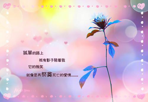 祈愿最新小说（宋紫芸江丞邶）全文阅读
