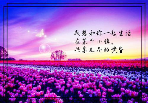 陈玄黄蓉免费阅读 陈玄黄蓉最新章节目录