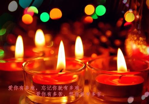 沈芷颜沈芷郁小说全文免费阅读 沈芷颜沈芷郁最新章节