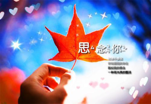霍沉洲：此去经年人未还：+结局+番外+结局免费阅读无弹窗大结局_（沈青禾霍沉洲）沈青禾霍沉洲最新章节列表_笔趣阁（沈青禾霍沉洲）