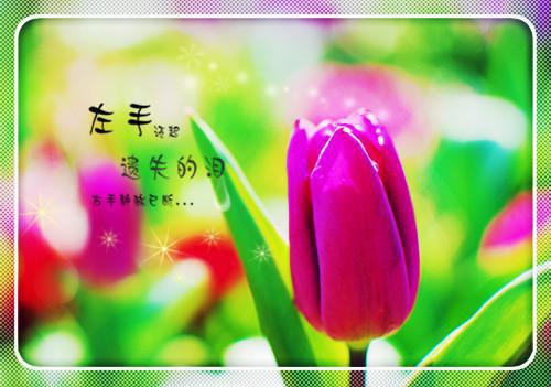 老婆让我给情夫做私人助理后，她后悔了陈志远楚瑶顾泽言小说在线免费阅读(大结局)