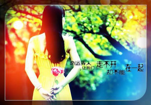沈皓轩白蕊小说叫什么 沈皓轩白蕊小说全文免费阅读