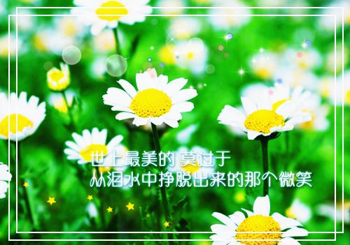 半是风雨半是霜：前言+后续极佳剧情(顾宴辞宋相欢)最新章节列表_半是风雨半是霜：前言+后续极佳剧情全文免费阅读(顾宴辞宋相欢)