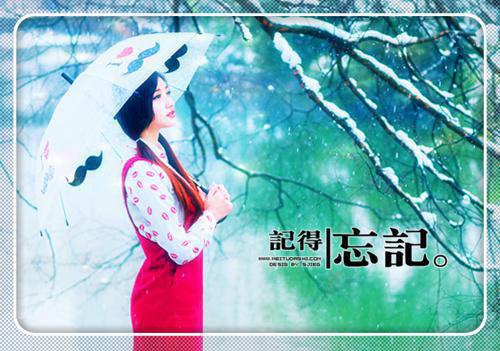 父亲节的第七次爆炸免费阅读 齐齐林薇小说无弹窗