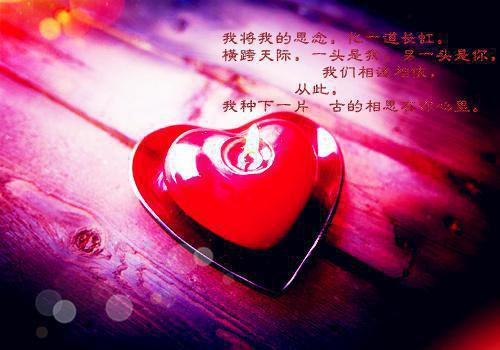 《叶槐禾沈焰叶娇娇小说》无弹窗全文免费阅读