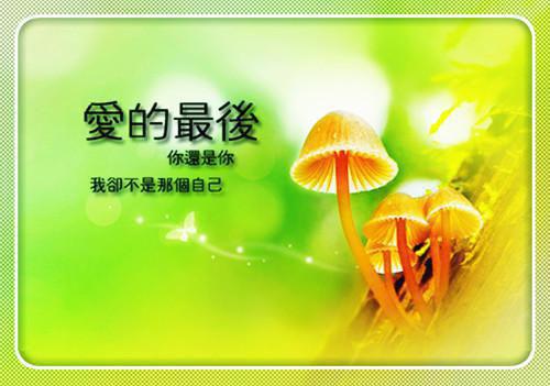 上岸男友踹了我陆司晨苏樱无广告小说免费在线阅读
