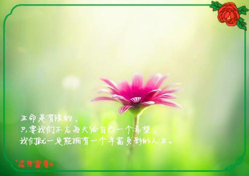 重生后手撕捞尸人小师妹的小说免费(完整版)全文免费阅读黎昭苏暖暖小说