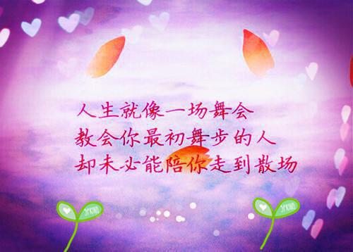 风把思念吹成诗庄雨眠季明礼全文免费阅读(已完结)