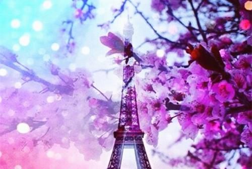 (番外)+(全文)等风等雨等不到你夏语栀祁墨寒：+后续+结局（祁墨寒夏语栀）全文免费阅读无弹窗大结局_（等风等雨等不到你夏语栀祁墨寒：+后续+结局免费阅读全文大结局）最新章节列表_笔趣阁（等风等雨等不到你夏语栀祁墨寒：+后续+结局）