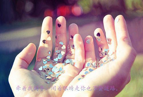穿成早死女配后，糙汉连夜撕我剧本免费无弹窗 陆云霁林樱小说阅读