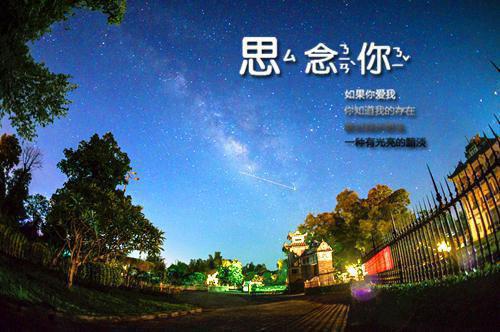 任他明月坠深海谢承泽鹿与宁全文免费阅读(已完结)