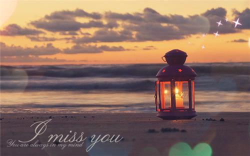 江星野沈沫小说全文 江星野沈沫小说免费阅读大结局