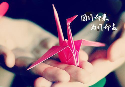 盛郁听孟景瓷盛郁听孟景瓷小说最新章节(在线阅读)