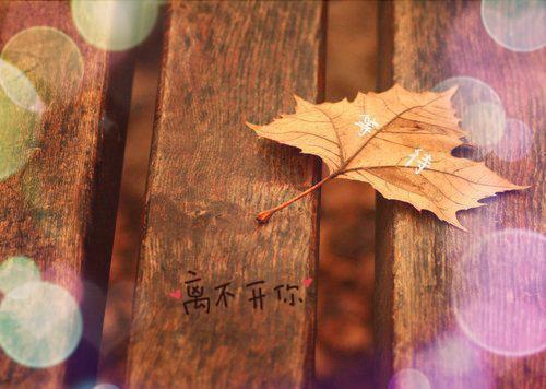 白孔雀违约负我，重生后我灭他九族沈墨尘柳云意小说在线阅读