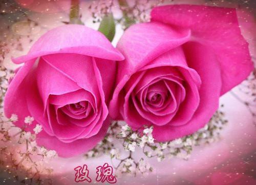 宋珏沈卿小说在哪里看 宋珏沈卿在线阅读第2章