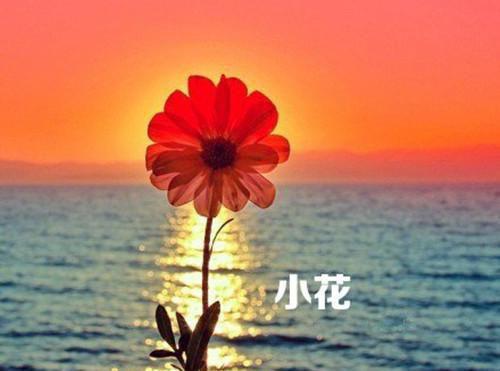 季怀瑾孟棠音小说 季怀瑾孟棠音免费章节阅读