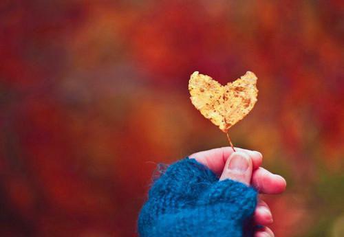 顾知年姜清芷许嘉承是哪部小说的主角 顾知年姜清芷许嘉承全文阅读