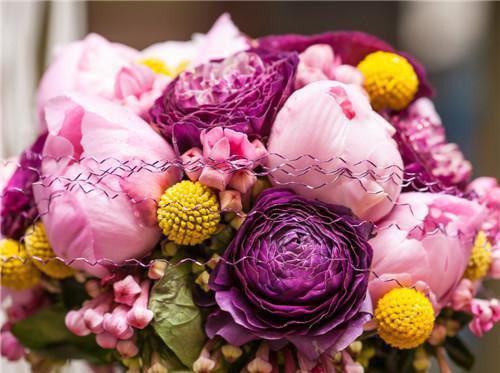 苏软素巧陆云礼全文免费大结局 苏软素巧陆云礼小说在线阅读