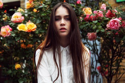 苏见晞林斯屿温苒是啥小说 苏见晞林斯屿温苒免费阅读无广告