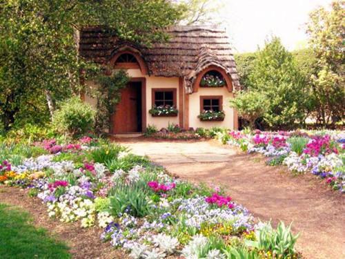 养兄登基为帝后,全家都吓哭了免费章节抢先阅读