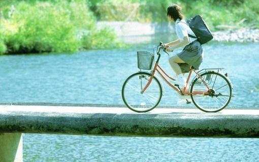 冰山桑树最新更新 桑树小宋免费读