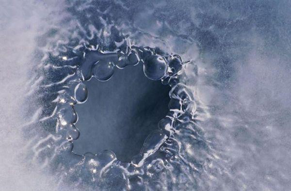 情字入骨三分祁云峥姜穗言:全文+番外(祁云峥姜穗言)无弹窗阅读