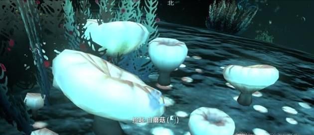 深海迷航聚苯胺怎么做