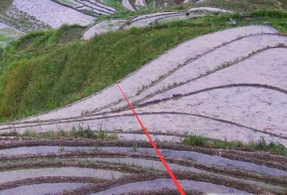 怎么用电脑玩刺激战场