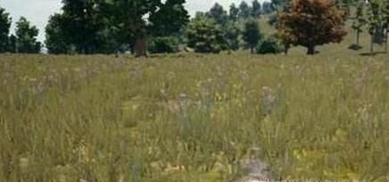 伏地魔是什么意思