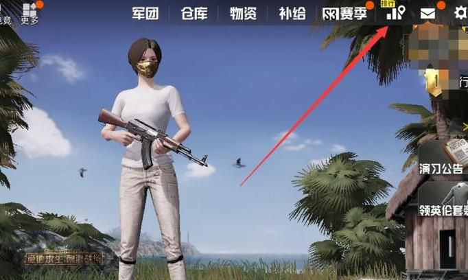 刺激战场怎么查看战区排行？怎么查看国服排名