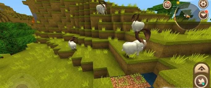 迷你世界羊怎么饲养