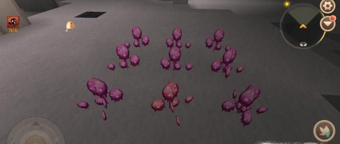 迷你世界星光孢子种子在哪 星光孢子种子怎么得