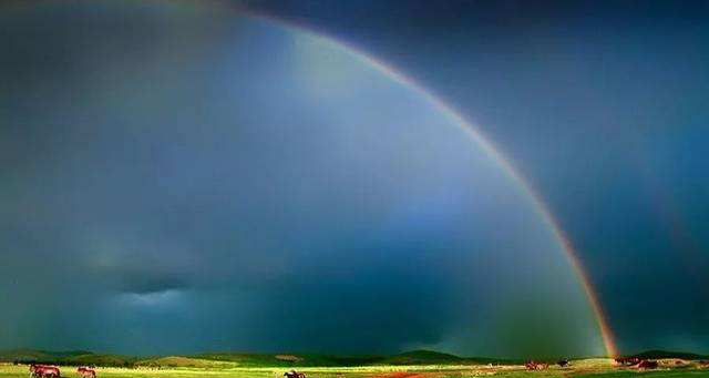 《魔兽世界》8.0上线至今,你在游戏中做过最蠢的事是什么?