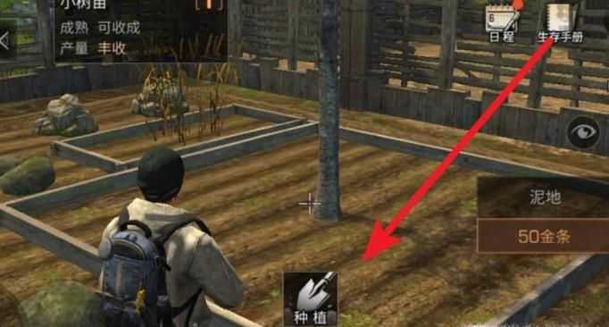 明日之后如何种植各种种子？