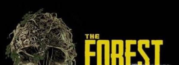 森林局域网怎么联机