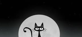 什么猫两条腿6个字答案