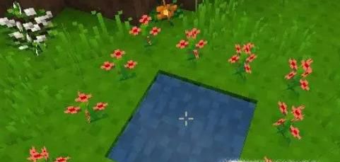 我的世界如何进入暮色森林