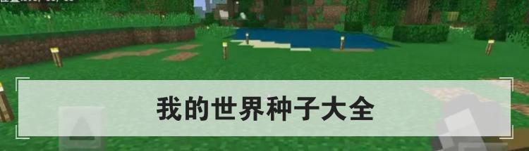 我的世界种子大全