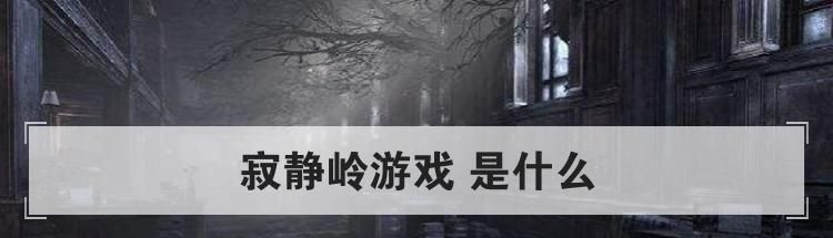 寂静岭游戏 是什么