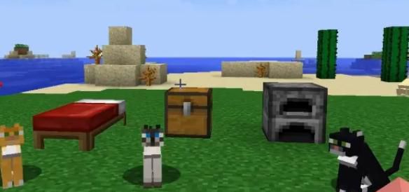 我的世界猫吃什么才能可以驯服