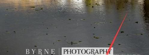 怎么上传视频到腾讯视频