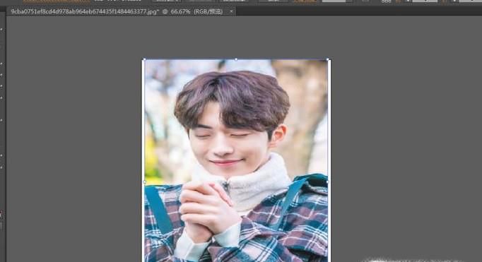 ai中怎么放大缩小图片怎么将图片缩小