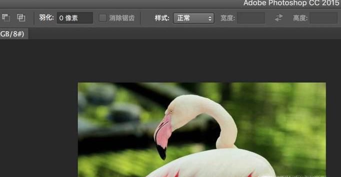 怎样在图片上加文字?