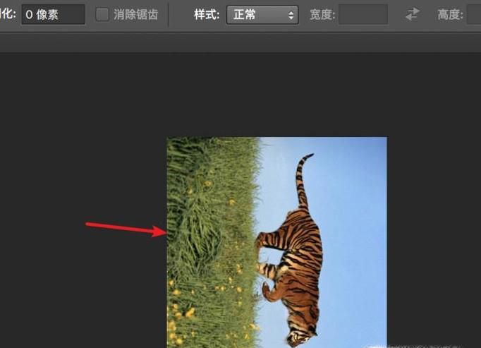 用PS怎样把竖版图片处理为横版图片