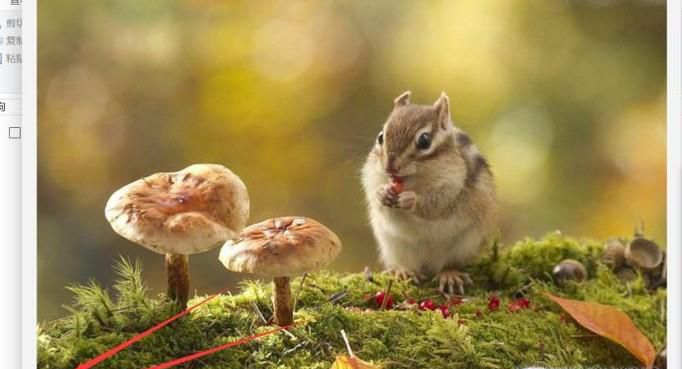 图片如何快速去除水印？比ps快10倍不止！