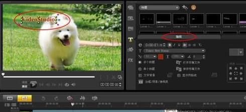 什么软件可以做视频