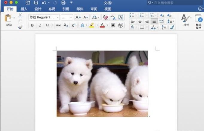 word怎么为图片添加边框