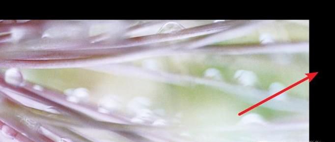 win7桌面背景如何设置居中填充拉伸平铺适应